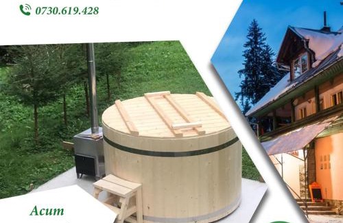 Lunca Bradului House | Cabana Sestina