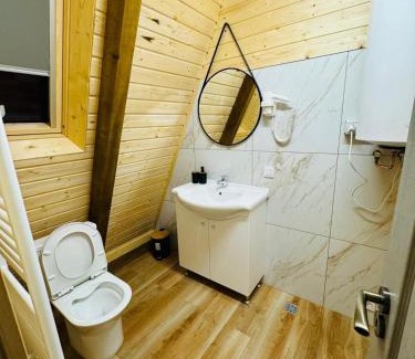 Avrig House | Cabana Twins A-Frame 1