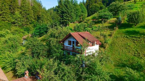 Poiana Marului House | Cabana Vânătorilor