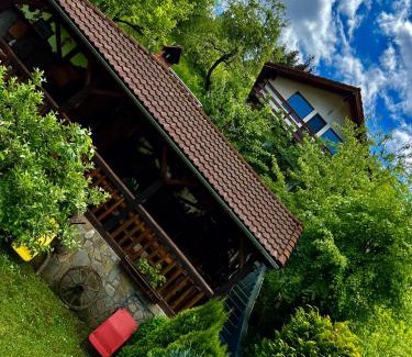 Poiana Marului House | Cabana Vânătorilor