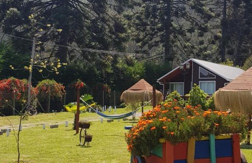 Contulmo Cabin | Cabañas Los Cipreses