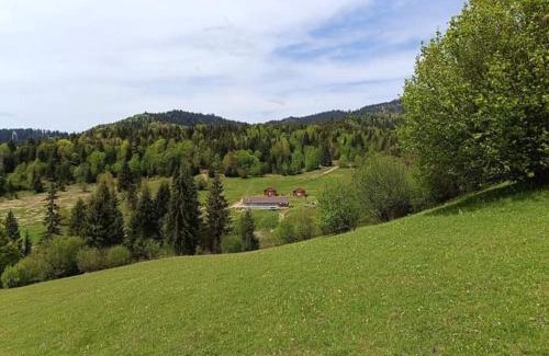 Voslabeni Cabin | Cabane Areama Neagra