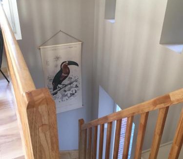 Saint-Macaire-en-Mauges Bed & Breakfast | Cabanes et chambre à la Bernardiere