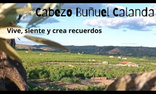 Calanda Bed & Breakfast | Cabezo Buñuel alojamiento Rural