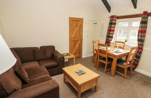 Llys Y Fran Cottage | Cabin ∙ 1 bedroom ∙ 2 guests