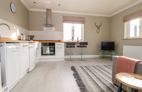 New Forest District Cottage | Cabin ∙ 1 bedroom ∙ 2 guests