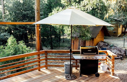 Fern Valley Cabin | Cabin ∙ 1 bedroom ∙ 2 guests