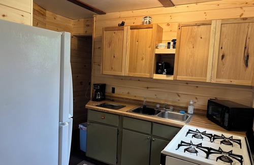 Gould City Cabin | Cabin 10-The Bear Den at Sunset Pines Resort