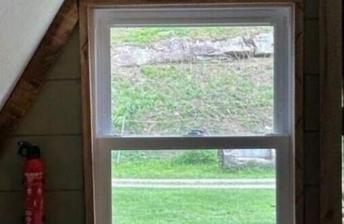 Northern Cabin | Cabin #2 Amalia - Custom Built A-Frame Artists Retreat - Pet and Kid Friendly