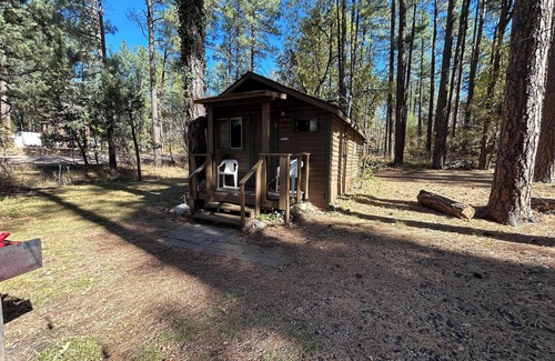 Christopher Creek Cabin | Cabin #7 - Rustic Studio with fireplace