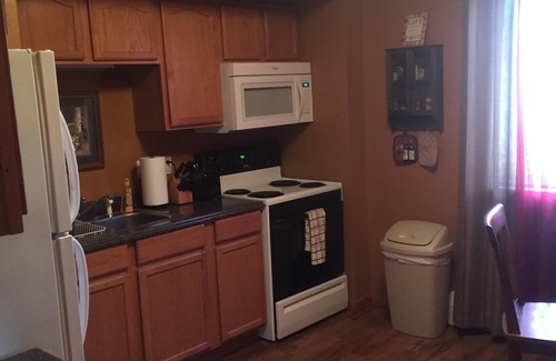 Glenwood Springs Apartment | Cabin apartment on Gold Medal Waters!