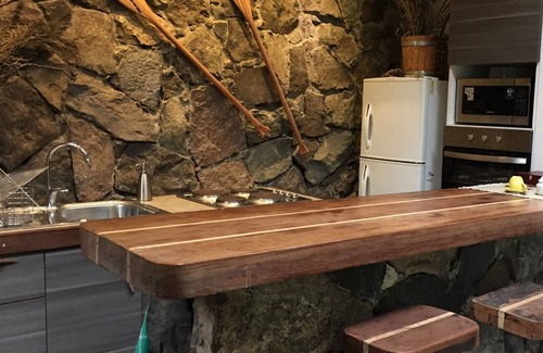 Lo Barnechea House | Cabin between Forest and River