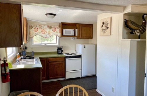 Hot Springs Cabin | Cabin by lake, pet friendly, quiet