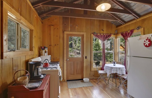 Sunnyside Cabin | Cabin Fever - 1 bed, 1 bath * fireplace