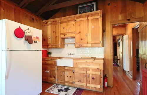 Sunnyside Cabin | Cabin Fever - 1 bed, 1 bath * fireplace