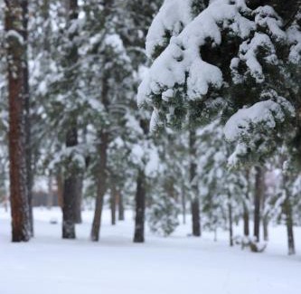 Duck Creek Village House | Cabin in the National Forest near Brian Head, Bryce Canyon and Zion