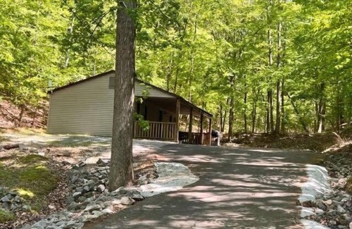 Eddyville Cottage | Cabin In The Woods (Sleeps 1-6) - Secluded cabin: 1BR (2Q), 1BA (shower), LR, kitchen, patio, fire pit.