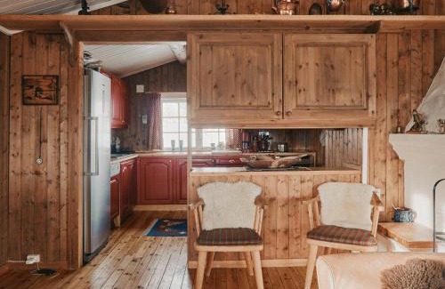 Nore og Uvdal House | Cabin In Uvdal With A View Ski-Inout
