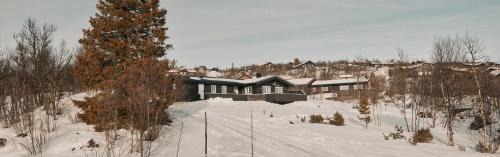 Nore og Uvdal House | Cabin In Uvdal With A View Ski-Inout
