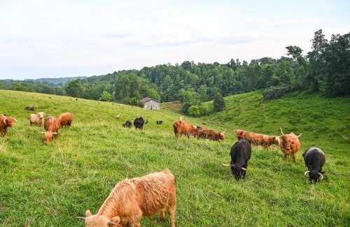 Dabolt House | Cabin on Working Highland Cattle Farm in Kentucky