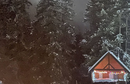 Lumby Cabin | Cabin Rentals at Guest Lodge in North Okanagan
