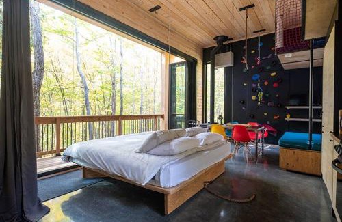 Eastman House | Cabin Zoobox 62
