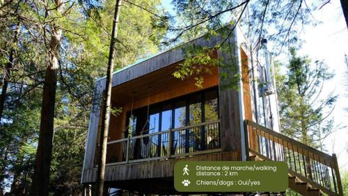 Eastman House | Cabin Zoobox 81