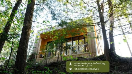 Eastman House | Cabin Zoobox 83