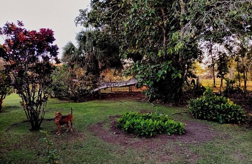 Tilaran Cabin | Cabinas Heide #3 Peace and Tranquility