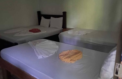 Tortuguero Bed & Breakfast | Cabinas Tortuguero Natural