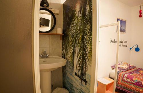 Salinas House | Cactus by Arenas