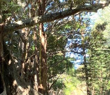 Burnt Pine House | Cadel's Cottage WITH FREE UNLIMITED HIGH SPEED INTERNET