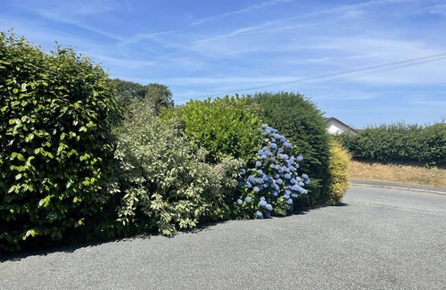 Llandyssiliogogo Cottage | Caerhafod, Llangrannog