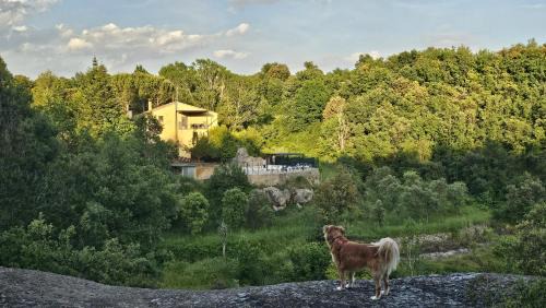 Casserres House | CAL ESCALER