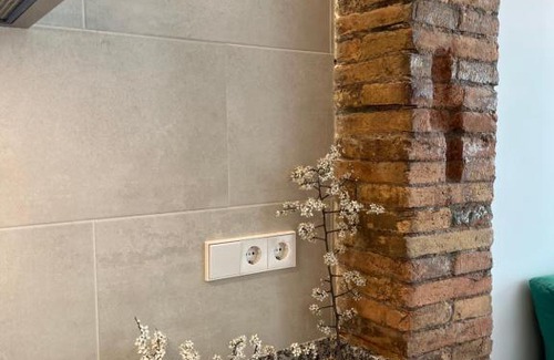 Guardiola de Bergueda Apartment | Cal Lleuger