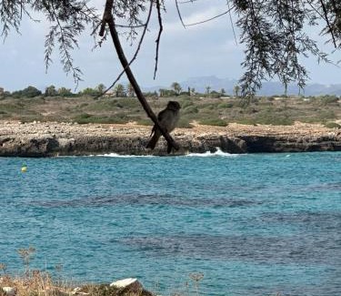 S'Illot-Cala Morlanda House | Cala Morlanda