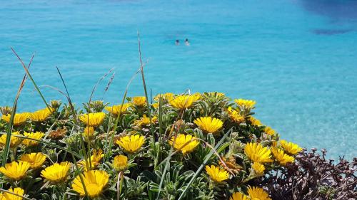 S'Illot-Cala Morlanda House | Cala Morlanda