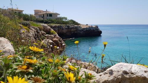 S'Illot-Cala Morlanda House | Cala Morlanda