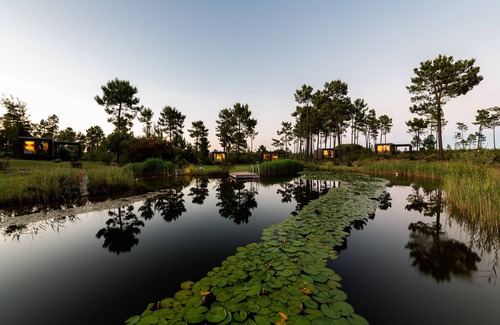 Alcacer do Sal House | Calm and comfort in Nature - Suite