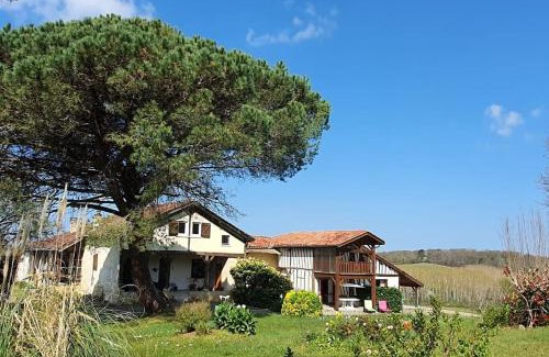 Cazaubon Apartment | CAMAT T1 de plain pied à la campagne