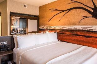 McAllen Hotel | Cambria Hotel McAllen Convention Center