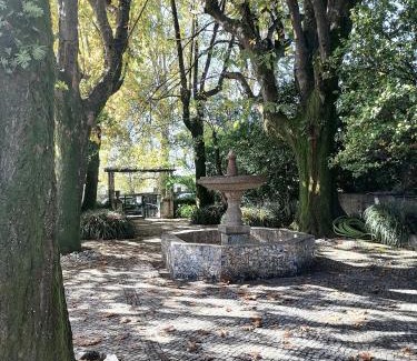 Nespereira Bed & Breakfast | Camelia Rooms
