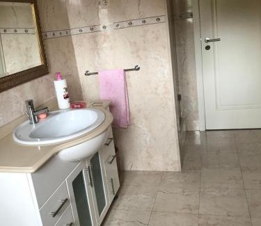 Portela Bed & Breakfast | Camelias