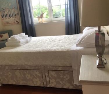 Portela Bed & Breakfast | Camelias
