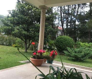 Portela Bed & Breakfast | Camelias