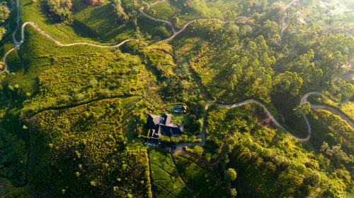 Hatton Hotel | Camellia Hills