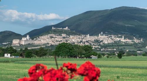 Santa Maria degli Angeli Bed & Breakfast | Camere Mariella