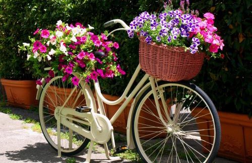 Buti Bed & Breakfast | Camere Zimmer Rooms San Francesco