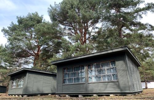 Gdansk Other | Camp Bursztynowy Las