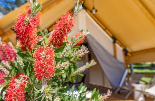 Blato Resort | Camp Dole Zivogosce - Mobile home and Glamping tent